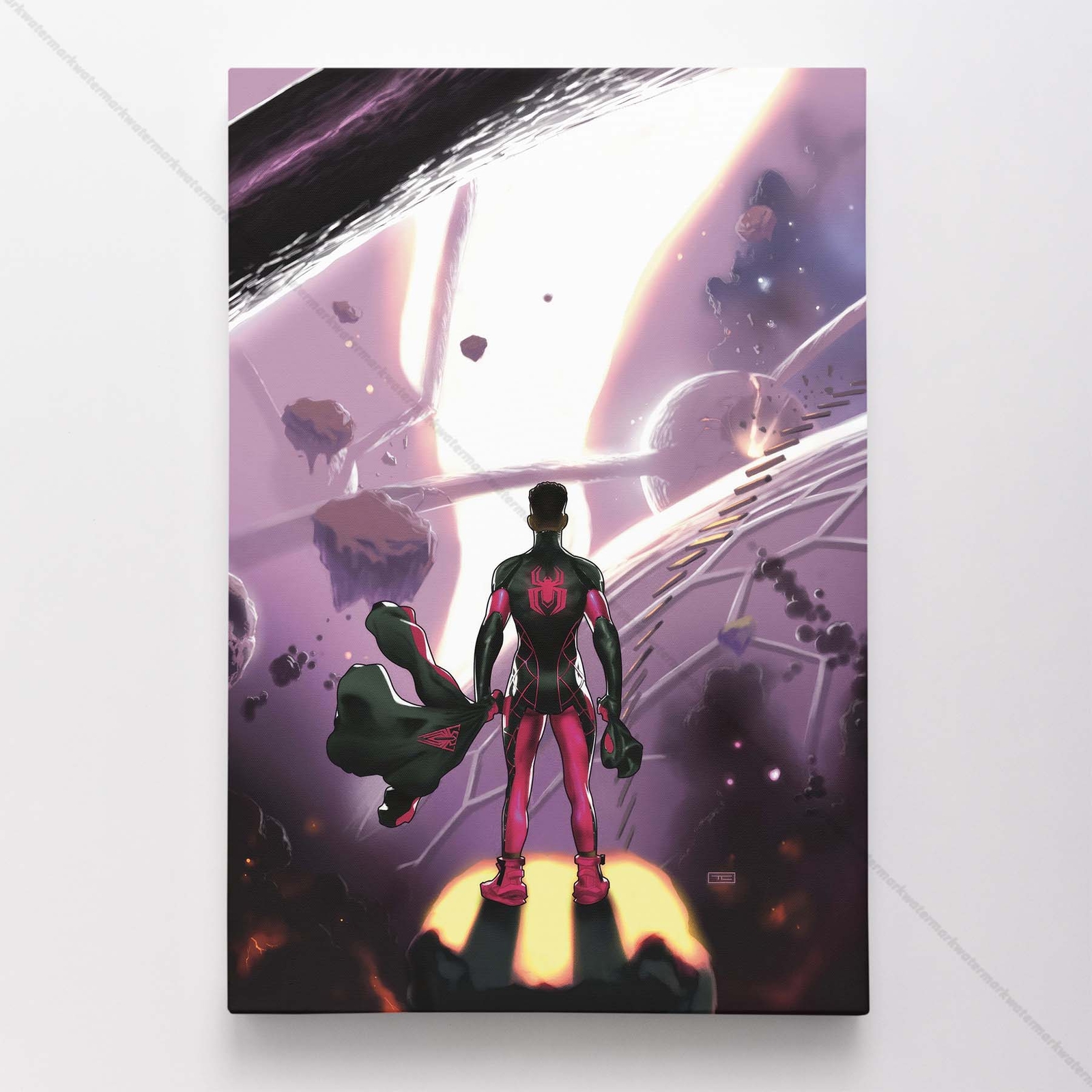 Miles Morales Poster Canvas Spider-Man SpiderMan Comic Book Art Print #38985