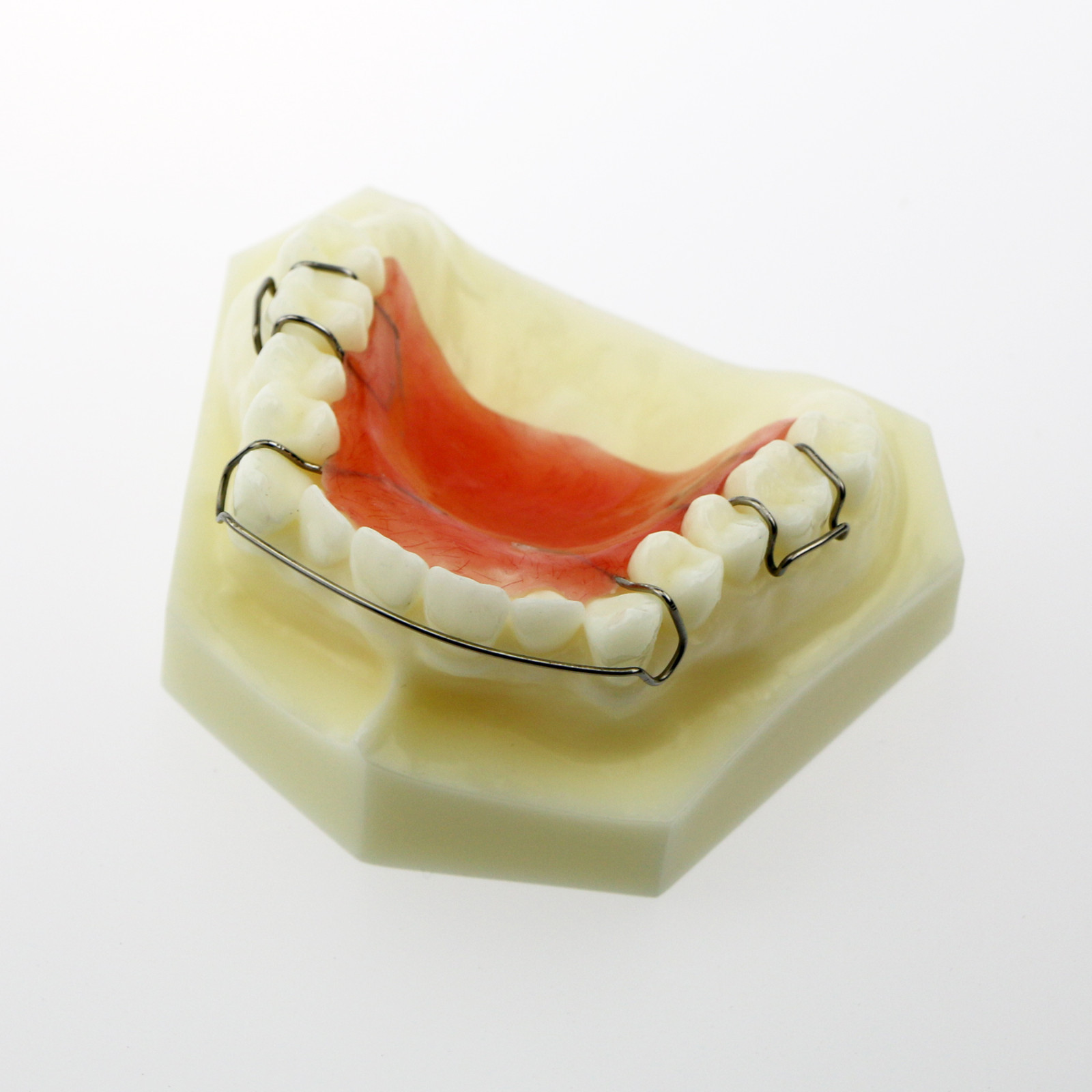 NEW Dental Model Hawley Retainer Model orthodontic demonstration study 3007 01 eBay