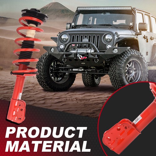 Pair Front Struts w/ Coil Springs for Chevy Equinox GMC Terrain Saturn Vue