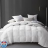 Hotel Grand Luxury White Goose Feather Down Fiber Comforter Queen Size, 100% Cotton Ultra Soft Duvet Insert Queen, Hotel Hypoallergenic Extra Warmth Bedding Comforter, White 90x90 Inch
