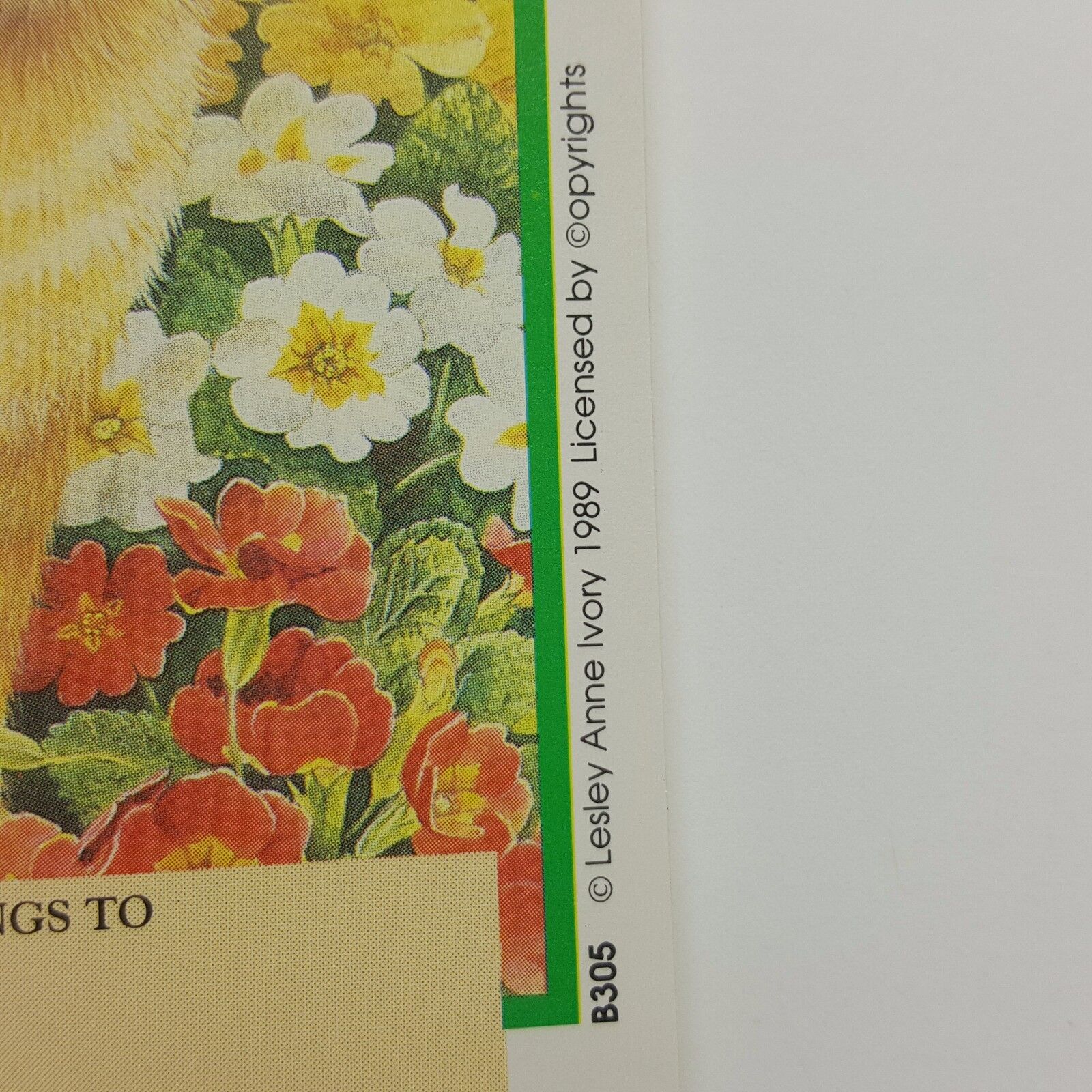 Cat Kitten Book Plates Lot 15 Antioch Lesley Artist 1989 Flowers Garden 
