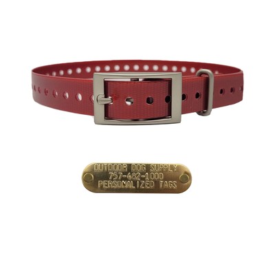 1'' Basic Dog Collar with Brass Name Plate - 10 pack
