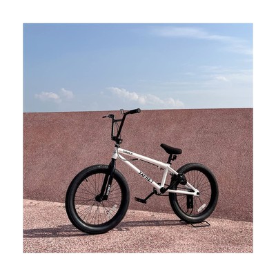 cubsala Yaphet 20 Inch Freestyle BMX Kids Bike for Over 6 Years Old Boys Teen...