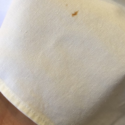 Vintage Wilendur Tablecloth English Ivy Garden 52