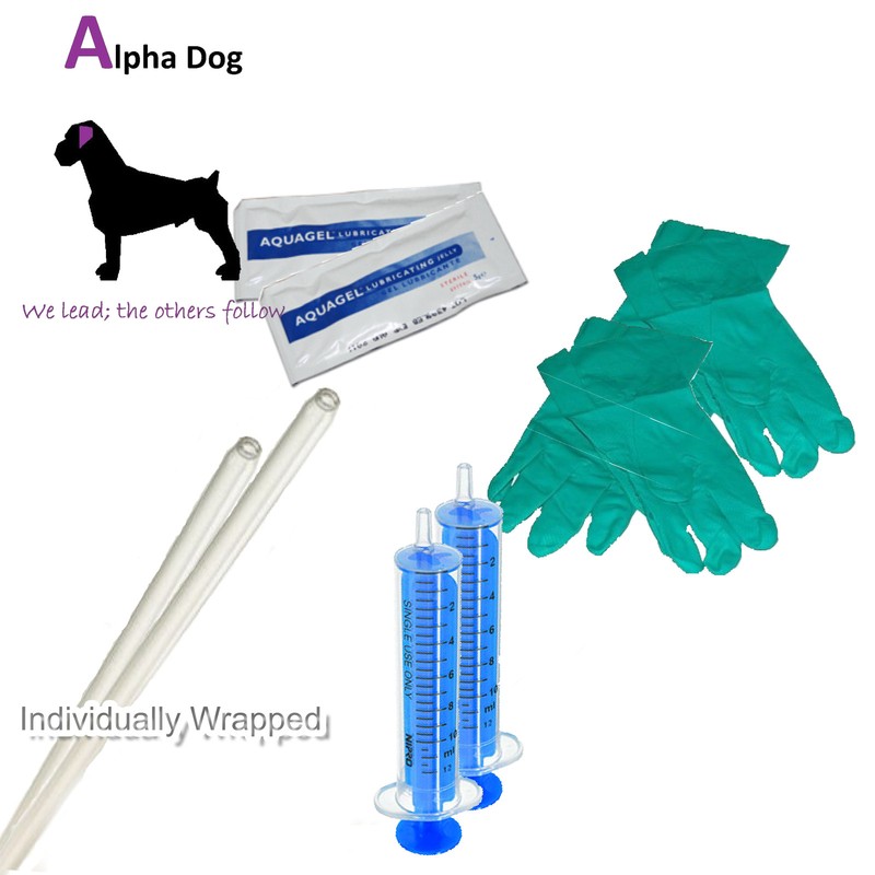 Chien standard kit de l