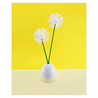 Q-tips Cotton Swabs 500 ct 4 pack