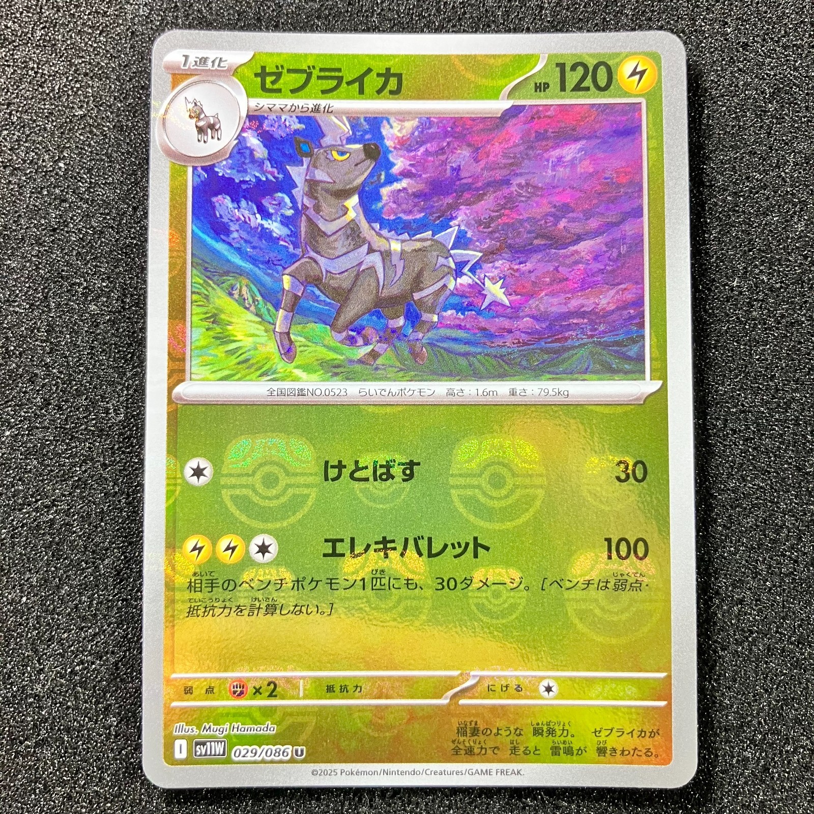 ポケモンマスターズEX ハルカ サイン色紙 ポケモンマスターズEX ハルカ サイン色紙-日本公式の通販
