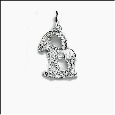 Anhänger Sternzeichen - STEINBOCK 925er.Sterling Silber 24mm.1,50g  TOP