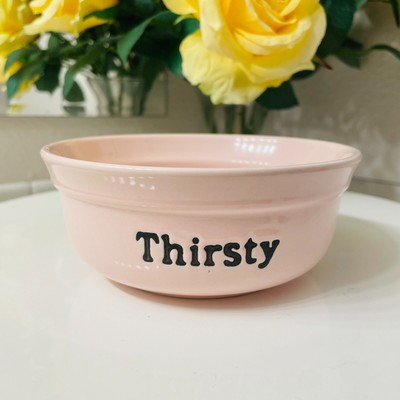   Signature Houseware THIRSTY Water Bowl   For Small Kitty Cat Paw Feed me Pet