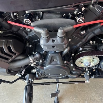 Fotos del artículo de un comprador verificado