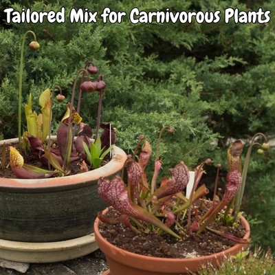 Carnivorous Plant Potting Soil Mix for Venus Fly Trap, Pitcher Plant, Sundew