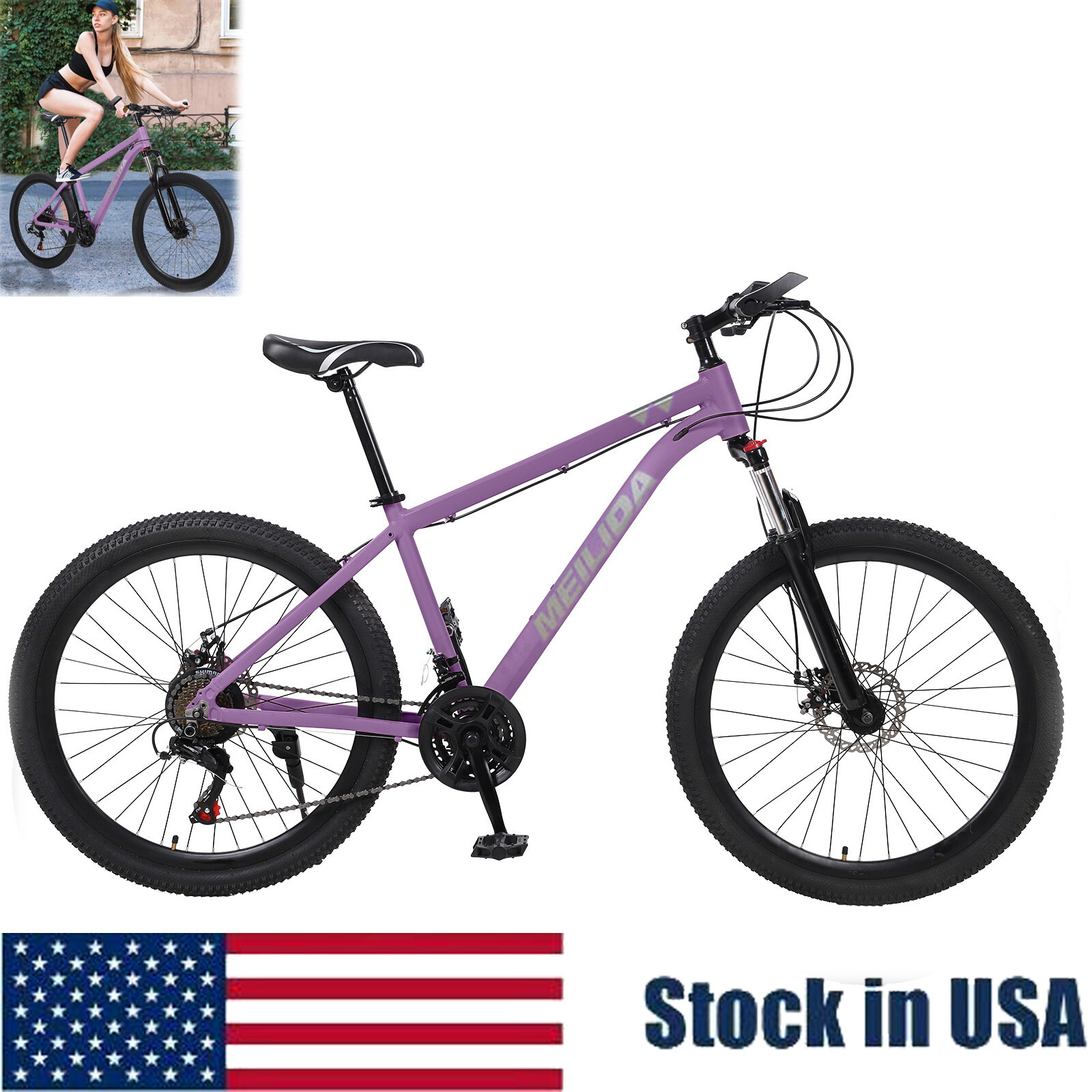 Dual Disc Brake
