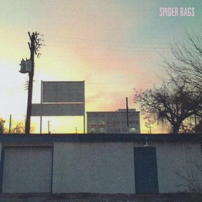 Someday Everything Will Be Fine by Spider Bags Vinyl