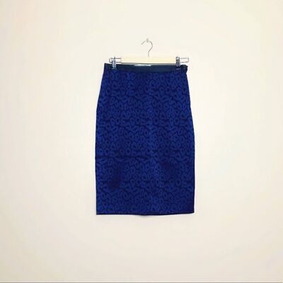 Skirt Size 0