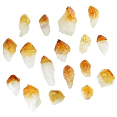 Citrine Points - Medium - Wholesale Rough Rocks Stones Crystal (Brazil)