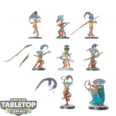 Age of Sigmar: Warcry - 8 Cypher Lords - bemalt