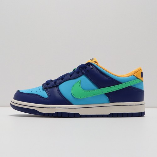 

Nike Dunk Low GS LEFT VAMP RIGHT MIDSOLE DEFECTED Kids US6Y Casual DV1693-401, Синий, Dunk Low Gs