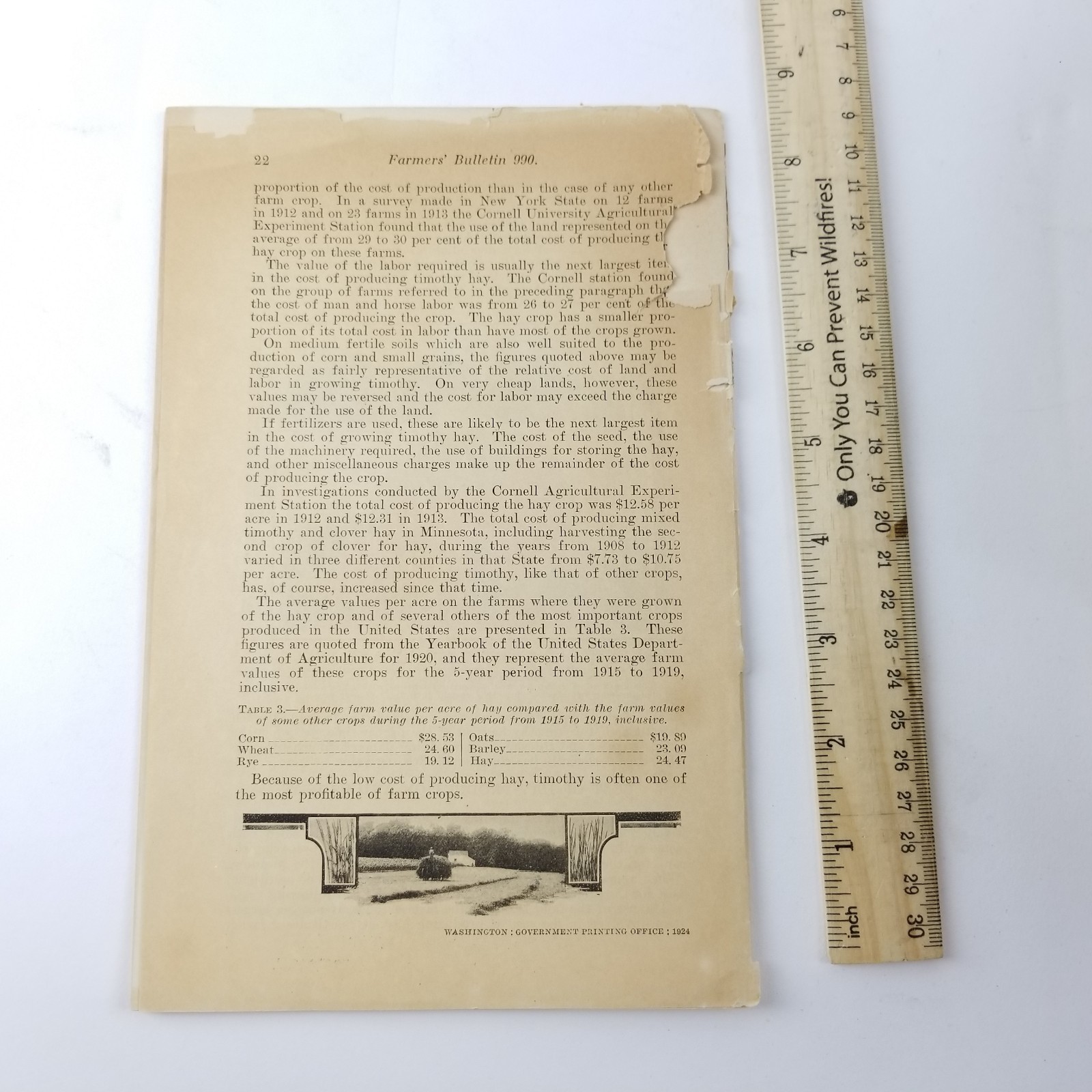 US Department of Agriculture Farmers Bulletin 990 Timothy Grass