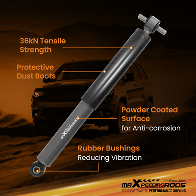 Rear Lowering Shocks 3