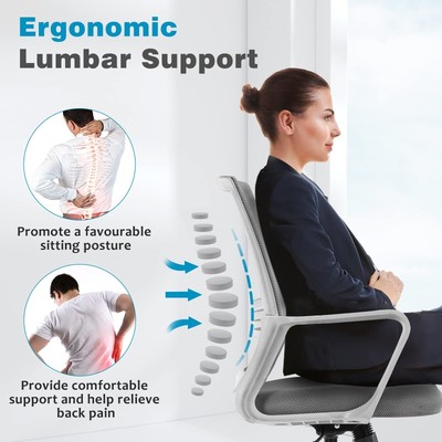OLIXIS Ergonomic Home Office Chair with Comfortable Armrest and Lumbar Suppor...