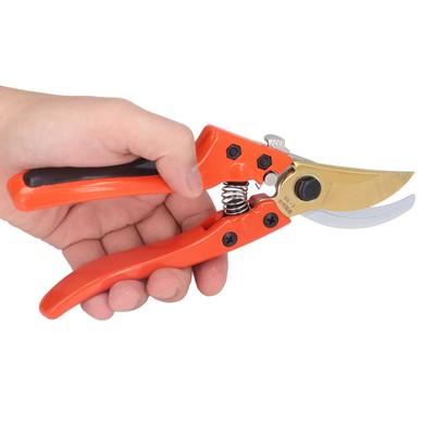 Pruning Shears Pointed Fruit Branch Shears Garden Plant Trimming US