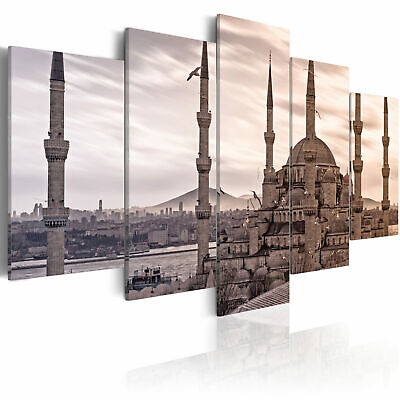 ISTANBUL MOSCHEE PANORAMA STADT Wandbilder xxl Bilder Vlies Leinwand 030102-11
