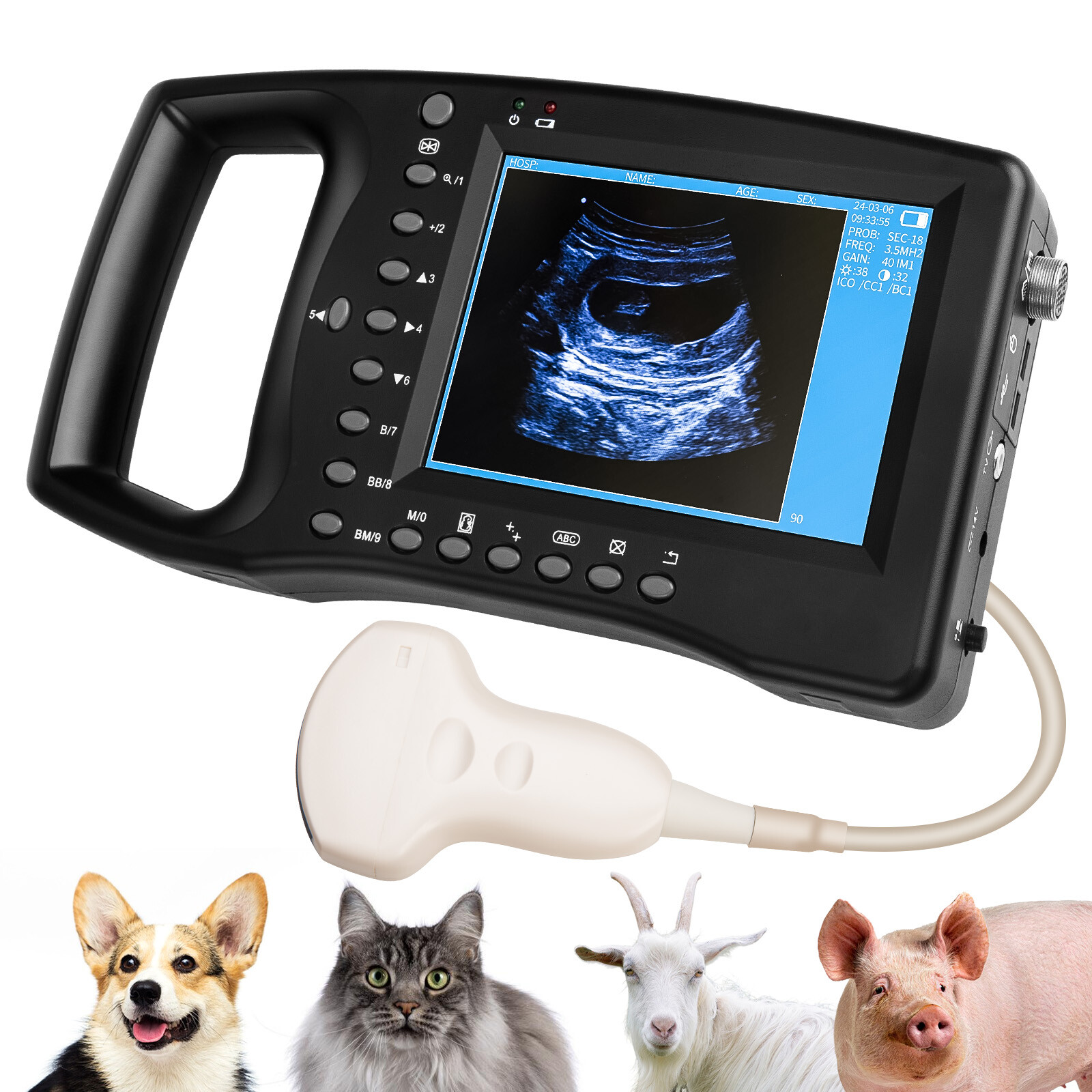 Scanner échographique Vétérinaire Portable PixCy - Détection De Gestation Pour Porcs Et Moutons - Écran Couleur 5,6" Et Sonde 3,5 MHz - 6