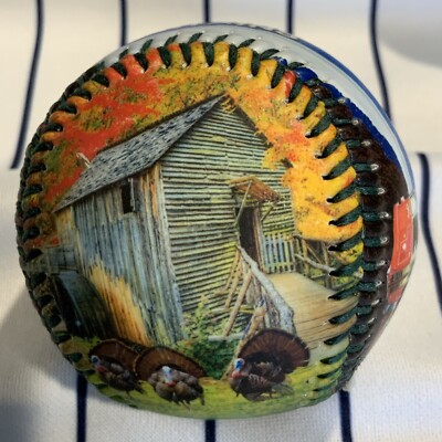 Great Smoky Mountain Tennessee Baseball Ball Souvenir