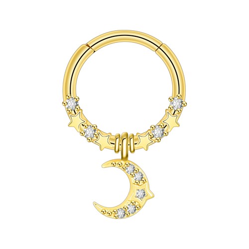 Surgical Steel Hinged Nose Rings Hoop 16G Septum Clicker Ring Earrings Gold- ONE