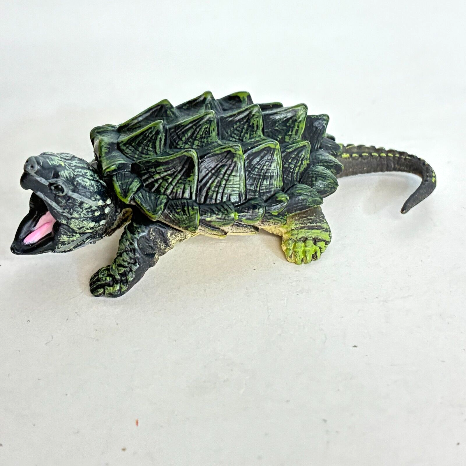 ワニガメ（Alligator snapping turtle）頭骨 ワニガメ（Alligator snapping turtle）頭骨