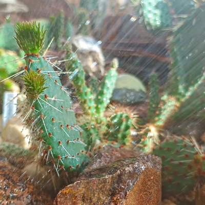 Zdjęcia przedmiotu od zweryfikowanego kupującego