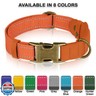 Reflective Leather Dog Collar with AirTag Holder - Soft Apple Airtag Dog Collar with Metal Buckle - Safety Cotton Pet Collars for Dogs Small Large Dogs Puppy (Orange, XS, 9