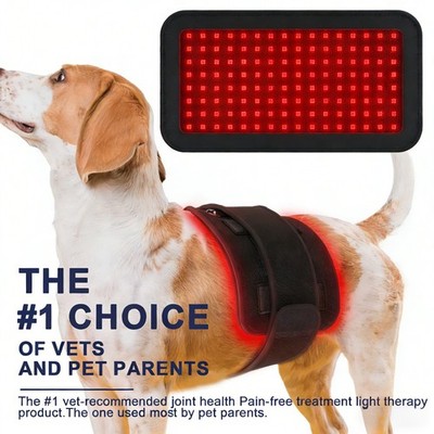 New Pet Red Light Therapy Medical Belt Skin Irritations Arthritis Pain Relief
