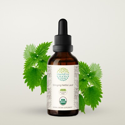 HerbEra Stinging Nettle Leaf Alcohol-FREE Tincture, Organic (Urtica Dioica)
