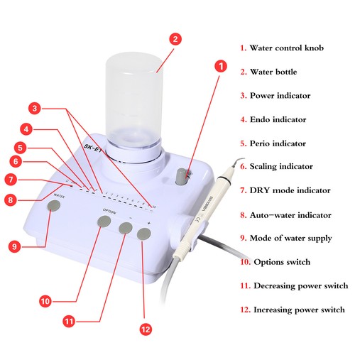 Ultrasonic Piezo Dental Scaler Handpiece 2*Bottles Dosing Fits EMS Cavitron tips
