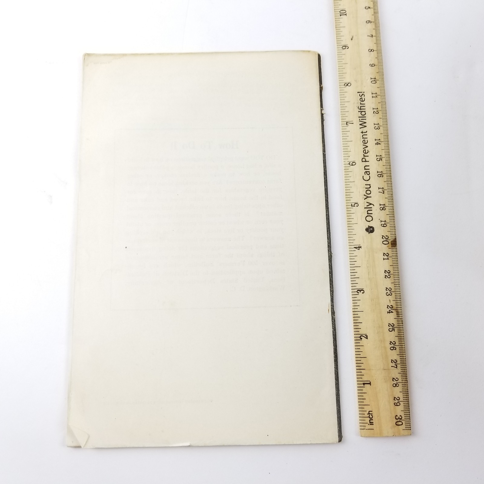 US Department of Agriculture Farmers Bulletin 1254 Important Cultivated Grasses