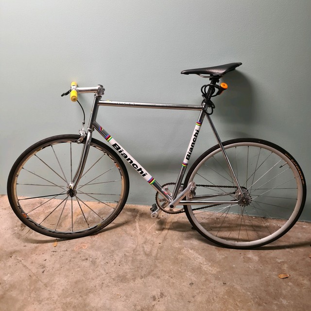 bianchi pista gumtree
