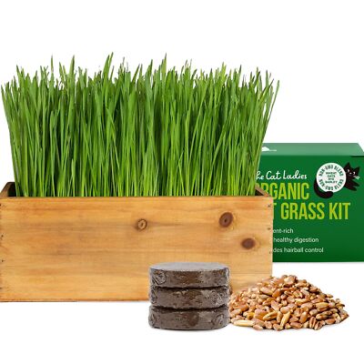 The Cat Ladies Cat Grass Kit (Organic) with Rustic Wood Planter, Seed and Soi...