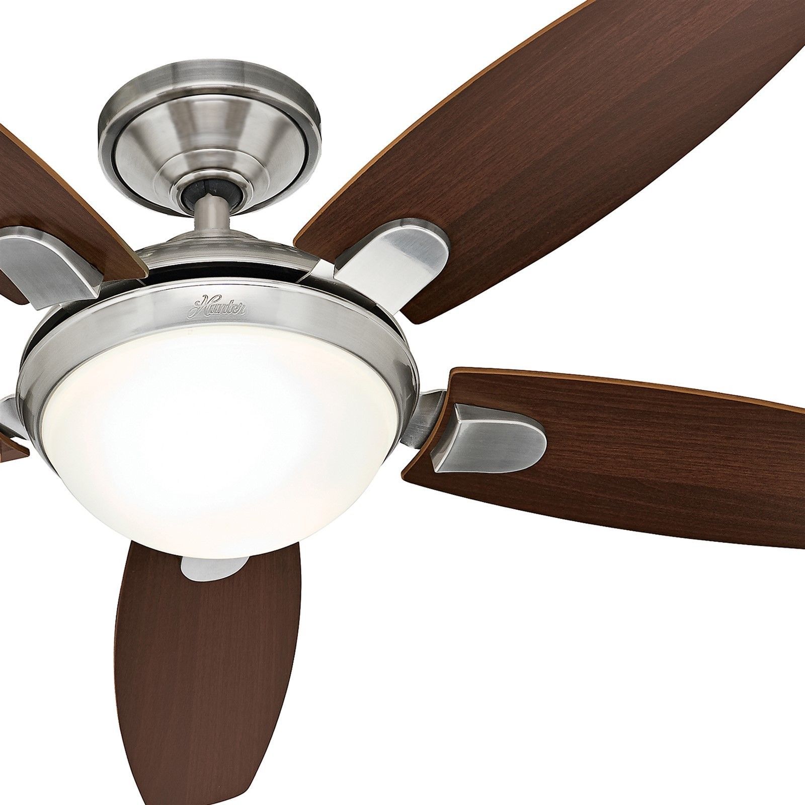 Contemporary Ceiling Fans with Remote Control