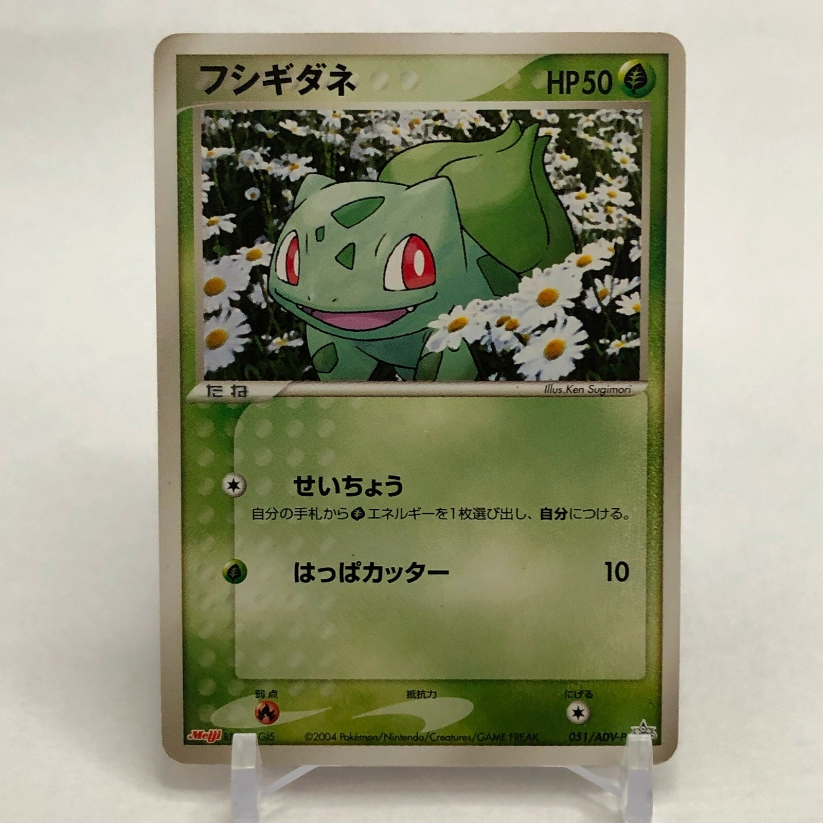 ART COLLECTION未開封5BOX(おまけ付き) Bulbasaur 051/ADV-P Meiji Promo Pokemon Card Japanese