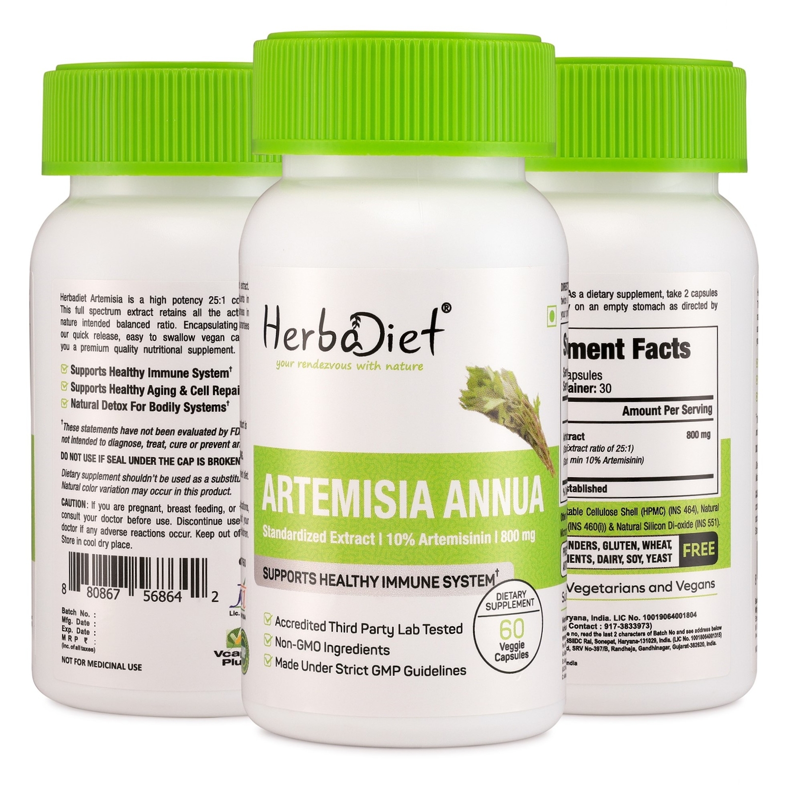 Artemisia Annua Extract Capsules POTENT Builds Immunity For Intestinal Worms - Picture 4 of 4