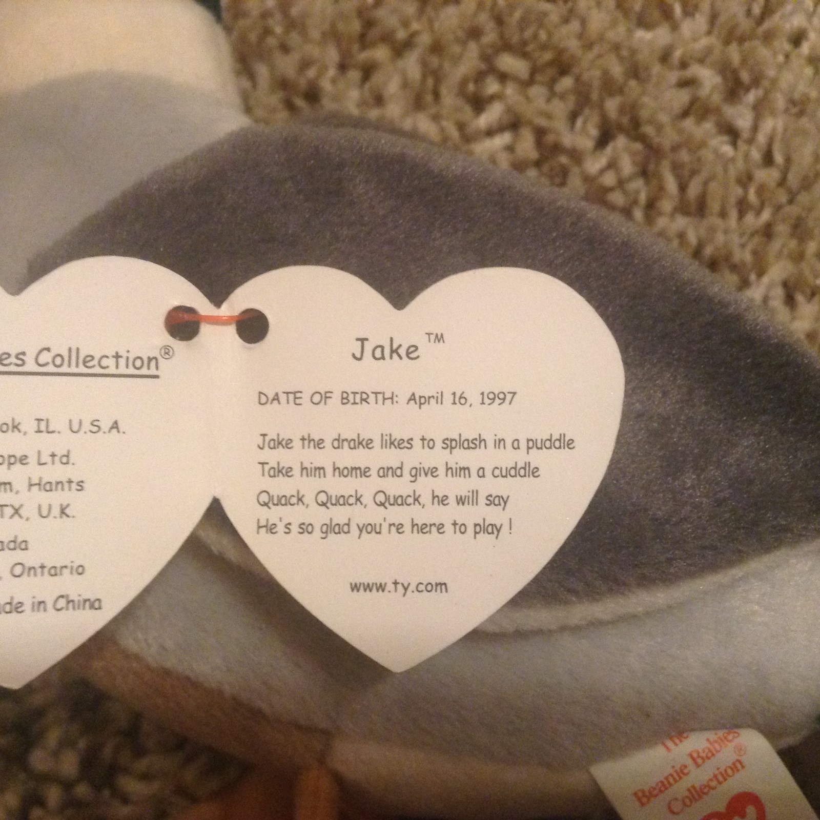 TY BEANIE BABY Jake the Mallard Duck Retired with Tag Errors