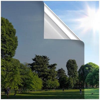 rabbitgoo Window Privacy Film One Way Window Tint Home Removab...