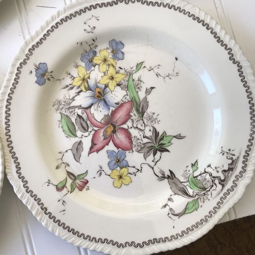 VTG Enoch 1784 Ralph 1750 Woods Burslem England ORCHIS Floral Plate 9