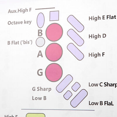 Basic Fingering Chart Sax Beginner Guide Portable Coated Paper ZXS