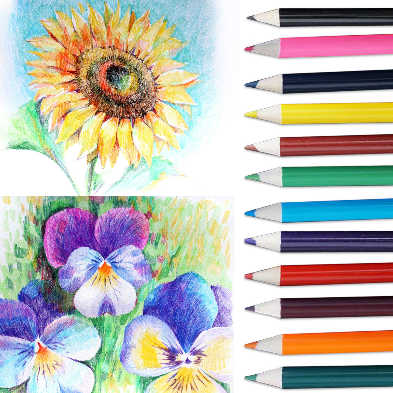 Artists Drawing Kids Adults Colored Pencils