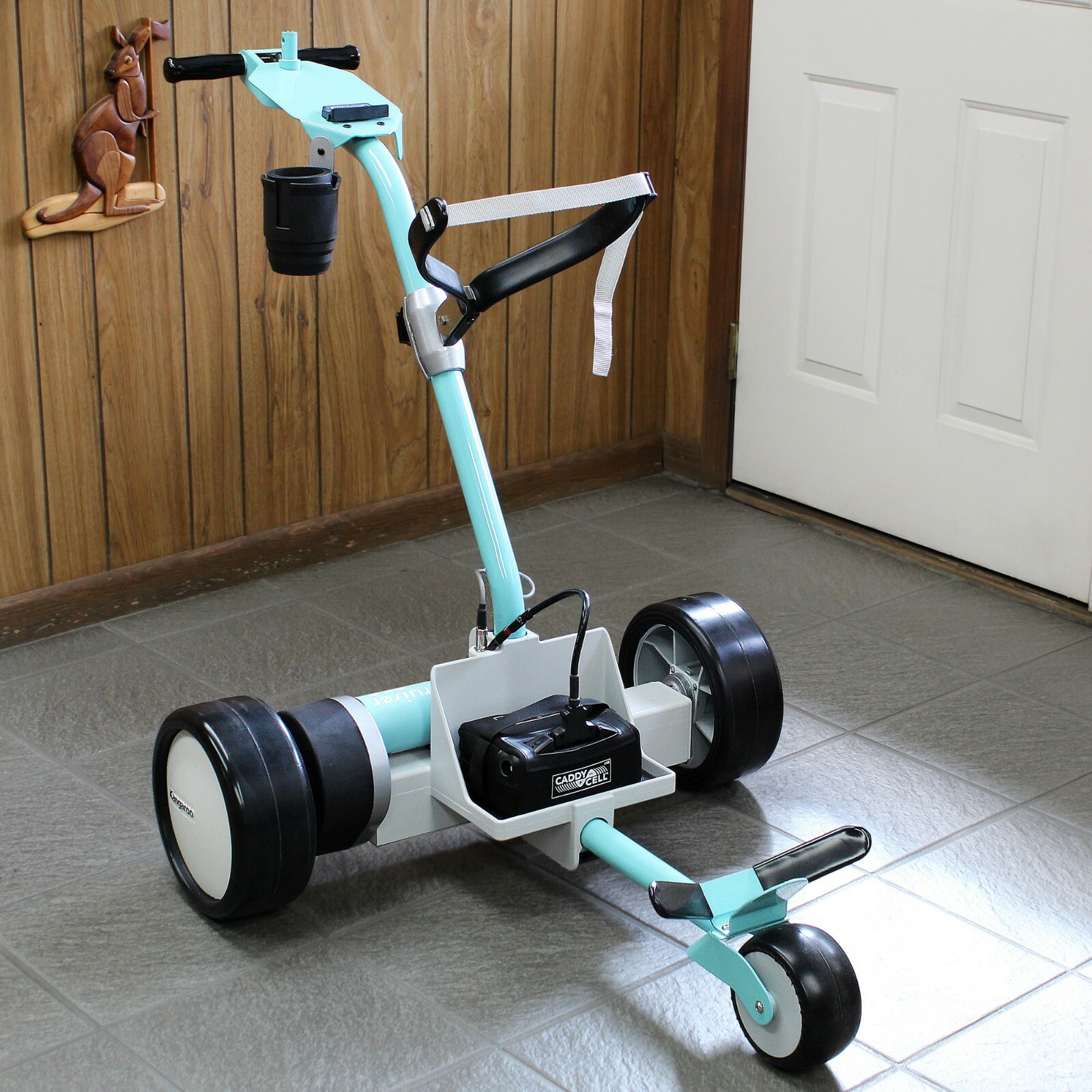 Kangaroo aqua Model 5 golf cart with manual