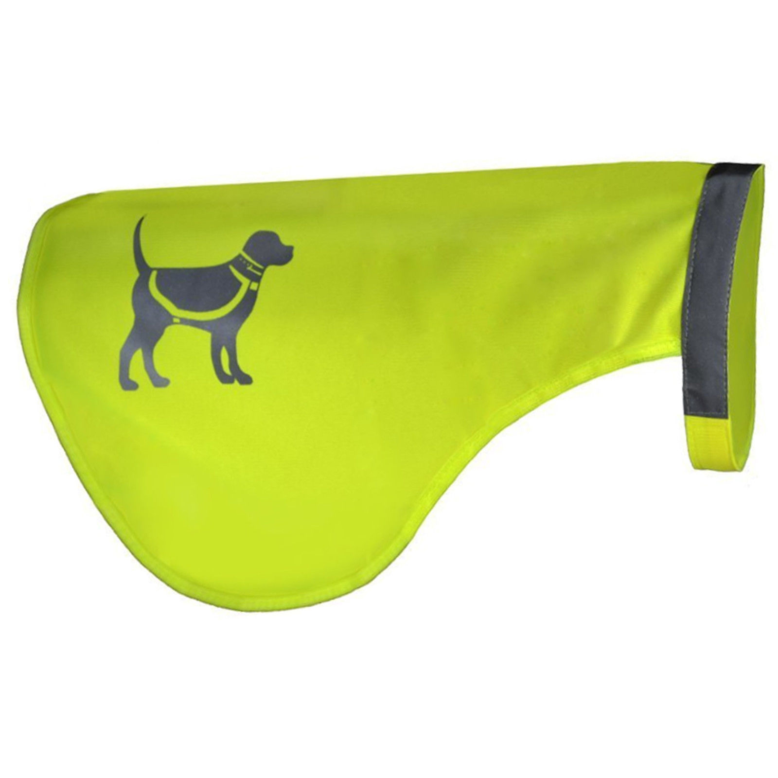 Dog Clothing & Shoes