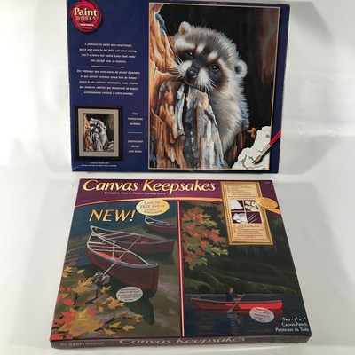 Raccoon and Canoe Paint by number set