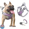 Medium Dog Harness and Leash Set,No Pull Adjustable Step in Soft Mesh Vest Harness,Easy Walk Reflective Pet Harness with Padded Handle for Walking Training Small Medium Large Dogs and Cats (Purple, M)